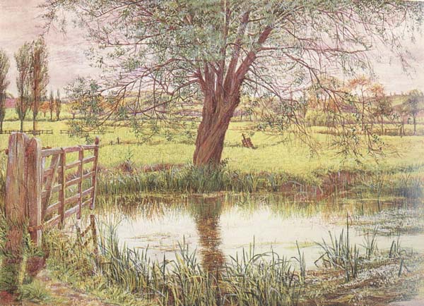 Landscape with a Gate and Watermeadow (mk46)